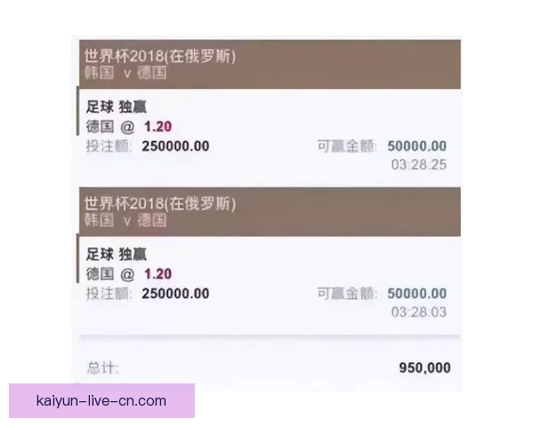 世界杯买球入口推荐指南与安全稳定投注平台全解析 世界杯买球入口推荐指南与安全稳定投注平台全解析