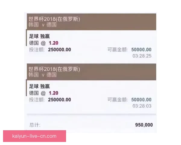 世界杯买球入口推荐指南与安全稳定投注平台全解析 世界杯买球入口推荐指南与安全稳定投注平台全解析